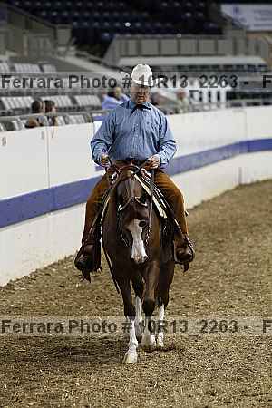 Proof Number 10r13_2263