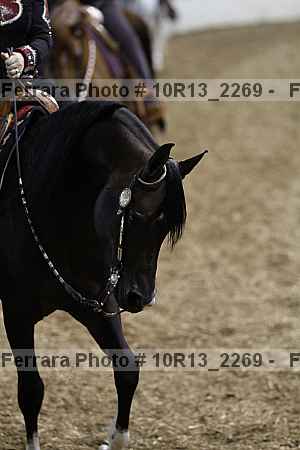 Proof Number 10r13_2269