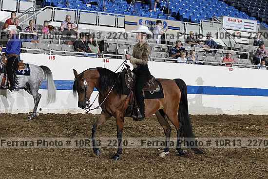 Proof Number 10r13_2270
