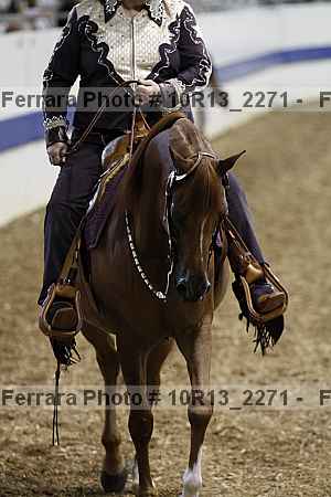 Proof Number 10r13_2271