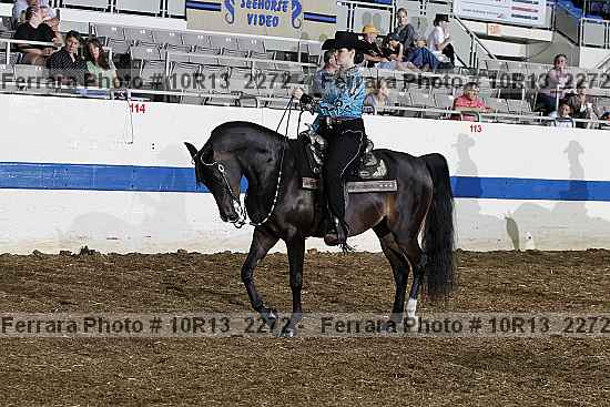 Proof Number 10r13_2272