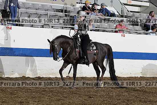 Proof Number 10r13_2277