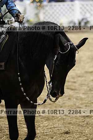 Proof Number 10r13_2284