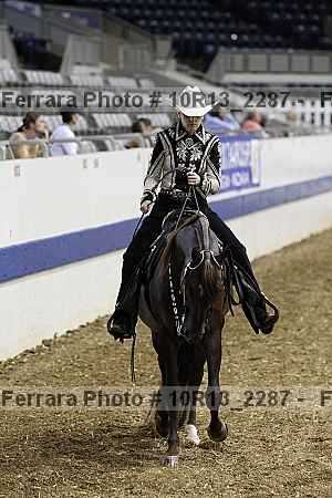 Proof Number 10r13_2287