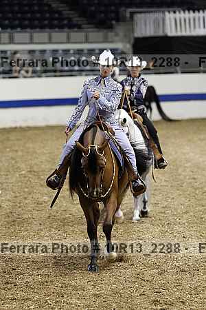 Proof Number 10r13_2288