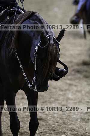 Proof Number 10r13_2289