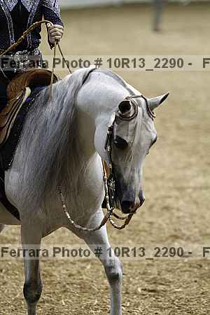 Proof Number 10r13_2290