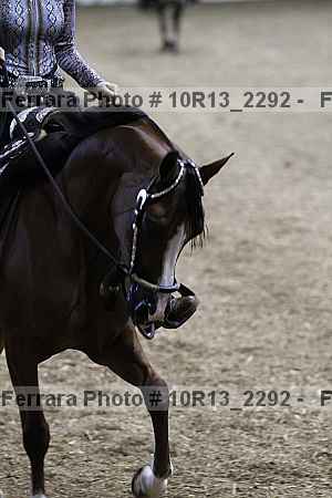 Proof Number 10r13_2292