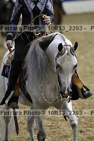 Proof Number 10r13_2293