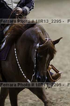 Proof Number 10r13_2295