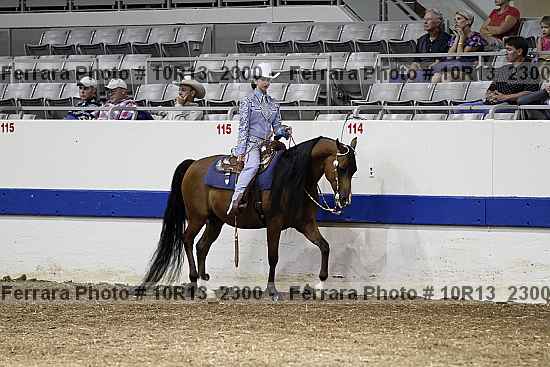 Proof Number 10r13_2300