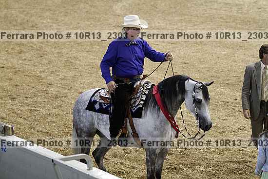 Proof Number 10r13_2303