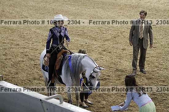 Proof Number 10r13_2304