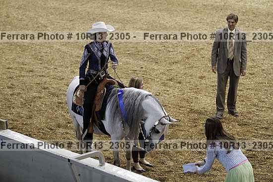 Proof Number 10r13_2305