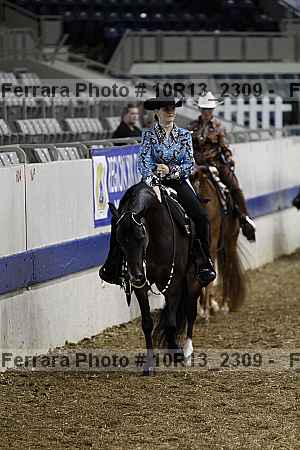 Proof Number 10r13_2309