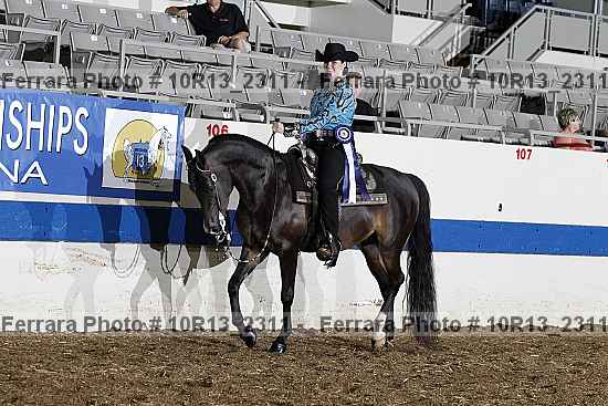 Proof Number 10r13_2311