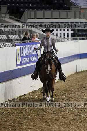 Proof Number 10r13_2313