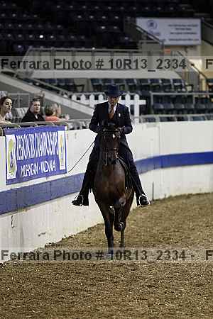Proof Number 10r13_2334