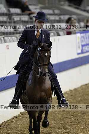 Proof Number 10r13_2338