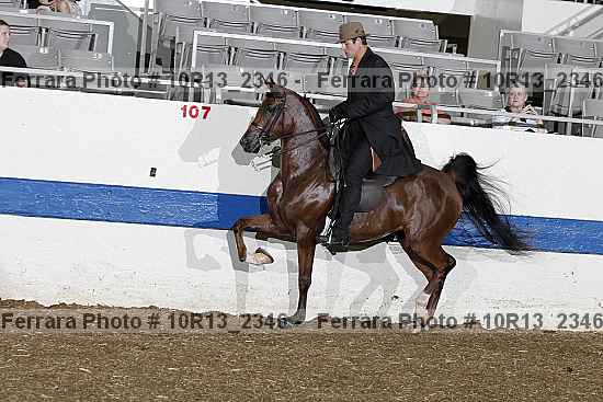 Proof Number 10r13_2346