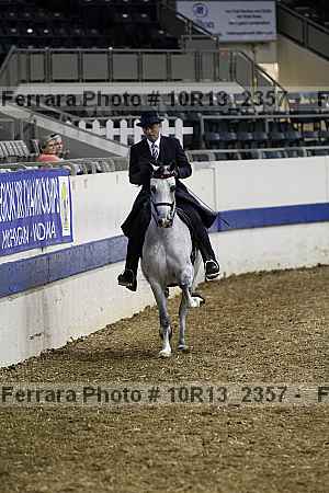 Proof Number 10r13_2357
