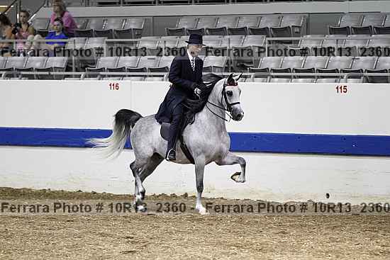 Proof Number 10r13_2360