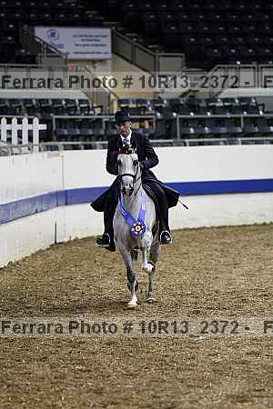 Proof Number 10r13_2372
