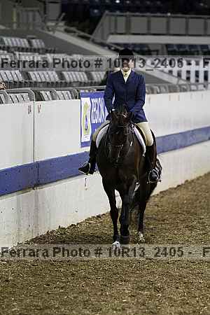 Proof Number 10r13_2405