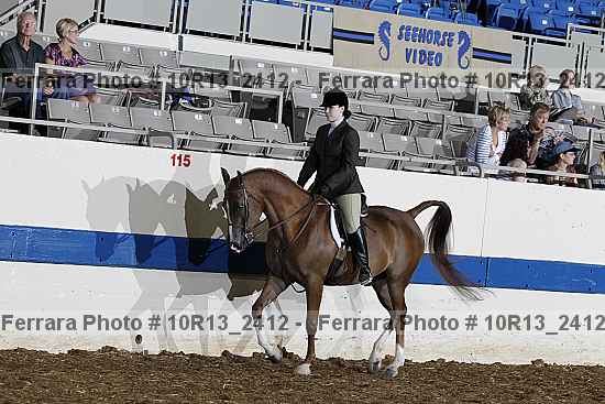Proof Number 10r13_2412
