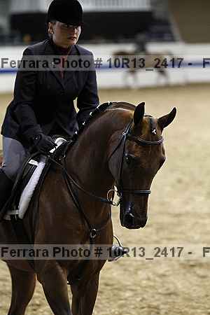 Proof Number 10r13_2417