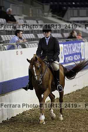 Proof Number 10r13_2419