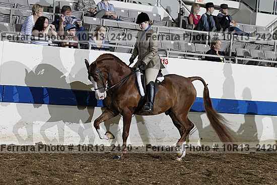 Proof Number 10r13_2420