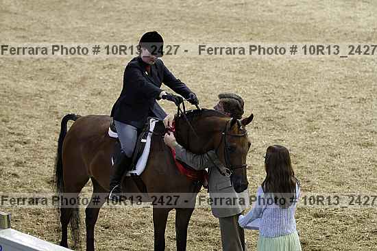 Proof Number 10r13_2427