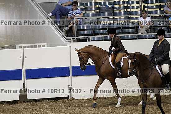 Proof Number 10r13_2432