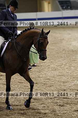Proof Number 10r13_2441