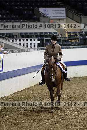 Proof Number 10r13_2442