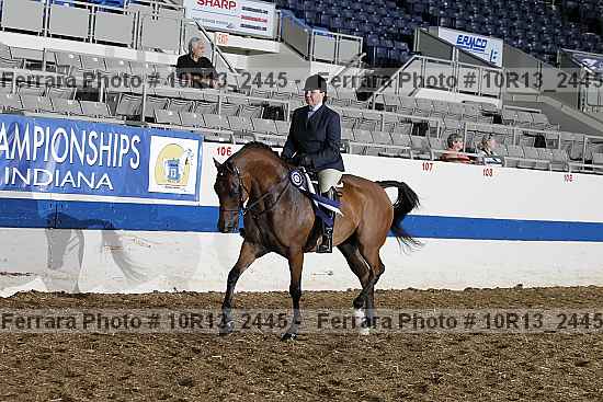 Proof Number 10r13_2445