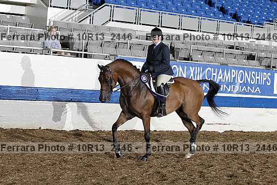 Proof Number 10r13_2446
