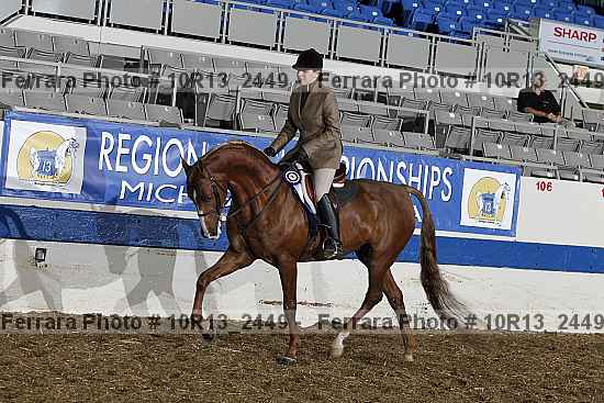 Proof Number 10r13_2449
