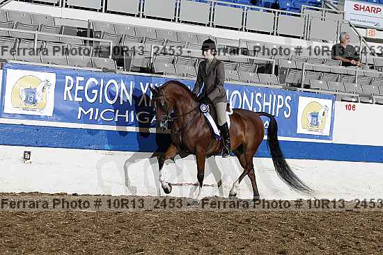 Proof Number 10r13_2453