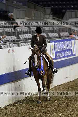 Proof Number 10r13_2456