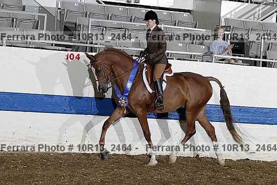 Proof Number 10r13_2464