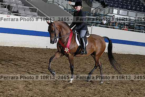 Proof Number 10r13_2465