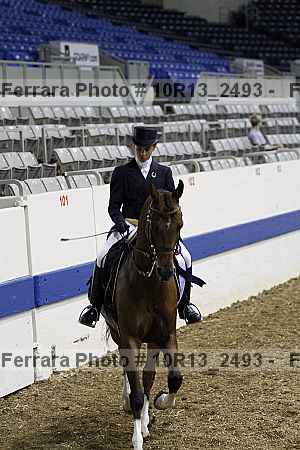 Proof Number 10r13_2493