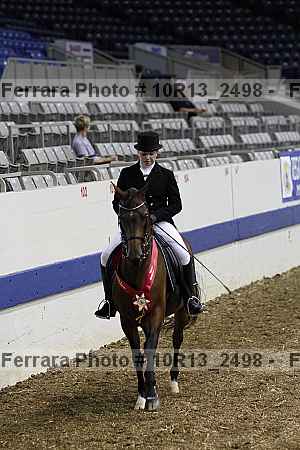 Proof Number 10r13_2498