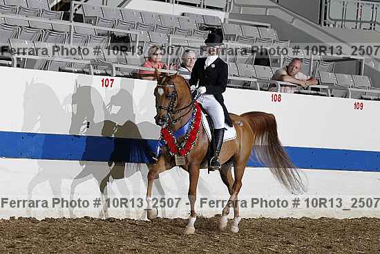 Proof Number 10r13_2507