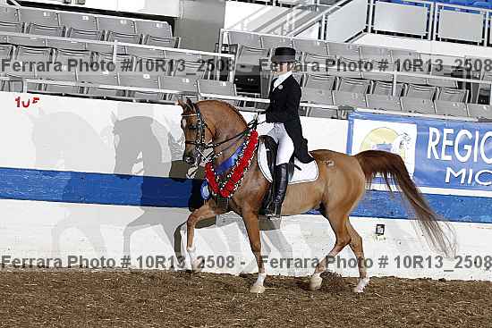 Proof Number 10r13_2508