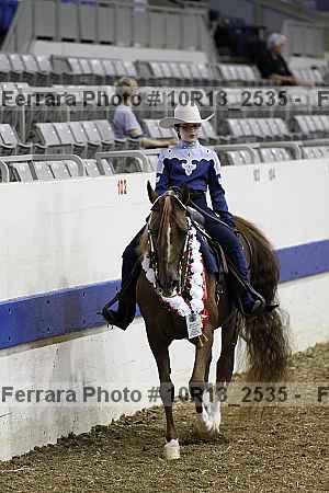 Proof Number 10r13_2535