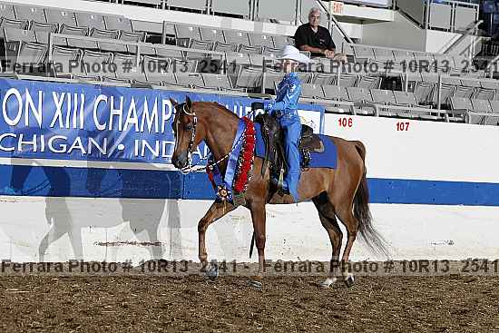 Proof Number 10r13_2541