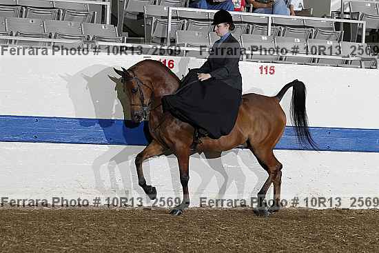 Proof Number 10r13_2569